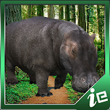 Big Hippopotamus Simulator icon