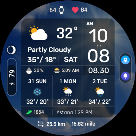 ACRO Digital Weather info2 WF