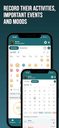 Reacpaw Screen 2