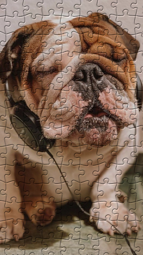 Bulldogs Jigsaw Puzzles Screen 2