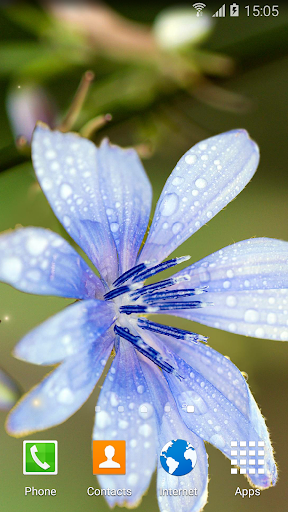 Butterfly live wallpaper Screen 2