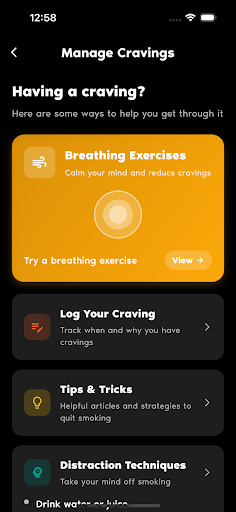 Quit Forever Quit Smoking Log