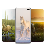 Cover Image of Download Horse Wallpaper 1.0 APK