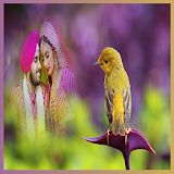 Bird Background Photo Frames icon