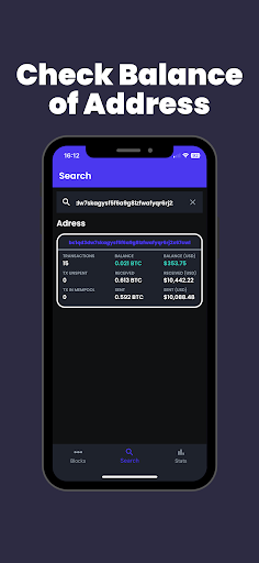 Bitcoin Block Explorer Screen 2