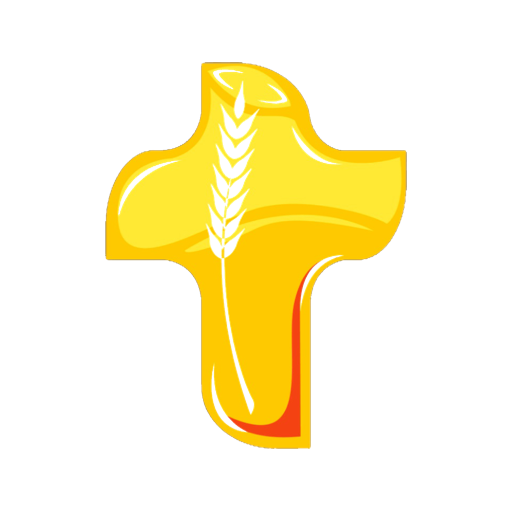 FDFUSA logo