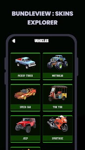 BundleView : Skins Explorer 4