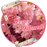 Pink Peach Blossom Theme icon