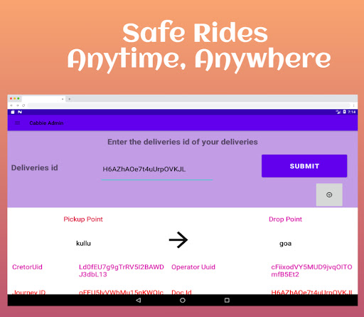 Cabbie Admin Screen 3