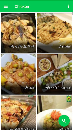 Chicken Recipes in Urdu Screen 3