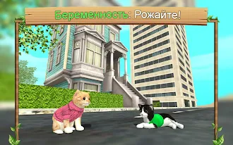 Game screenshot Симулятор Кошки Онлайн apk download