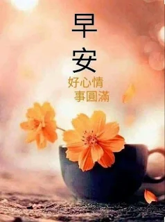 早上好图片 sGIFs 2026