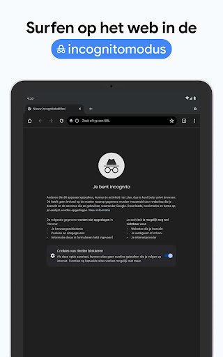Google Chrome