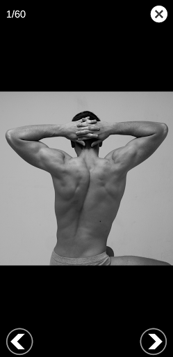Screenshot of 3D Anatomy for the Artist