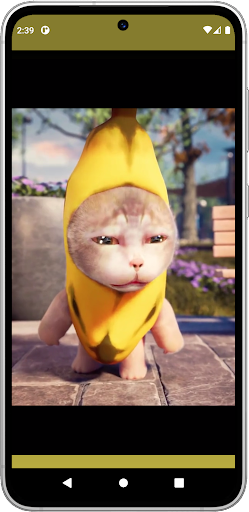 Cat Meme - Banana Series