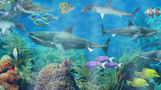 Shark aquarium live wallpaper - Apps on Google Play