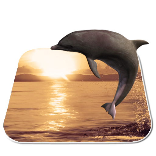 Seaworld Dolphin Livewallpaper Google Play のアプリ