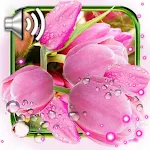 Cover Image of Download Tulips Spring 1.11 APK