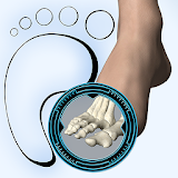 Podiatry 3D icon