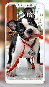 Captura 5 Boston Terrier Wallpaper android
