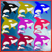 Killer Whale Match 3 Game