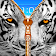 Wild Kitty Zipper Lock Screen icon