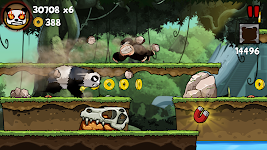 screenshot of Panda Run