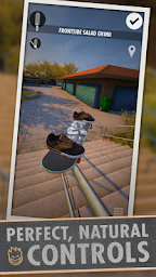 Skater