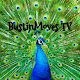 BustinMoves TV Download on Windows