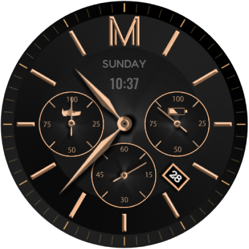 WFBM1002 ANALOG WATCH FACE Logo