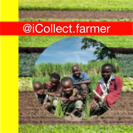 @iCollect.farmer logo