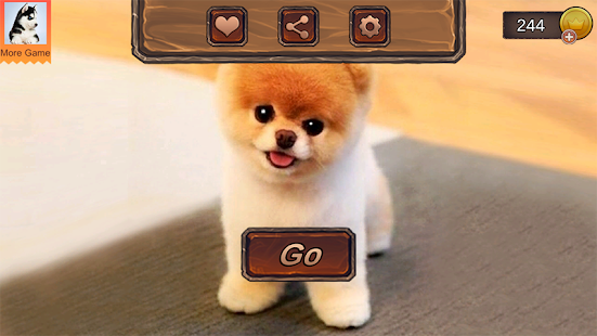 Pomeranian Dog Simulator MOD APK (Premium/Unlocked) screenshots 1