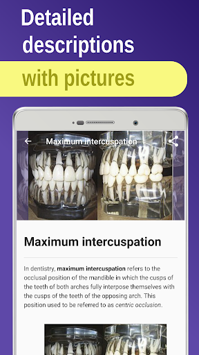 Dentistry: orthodontic&surgery Screen 2