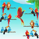 Bird Sort Color Puzzle icon