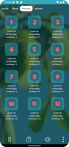Canto Do Pintassilgo Screen 2