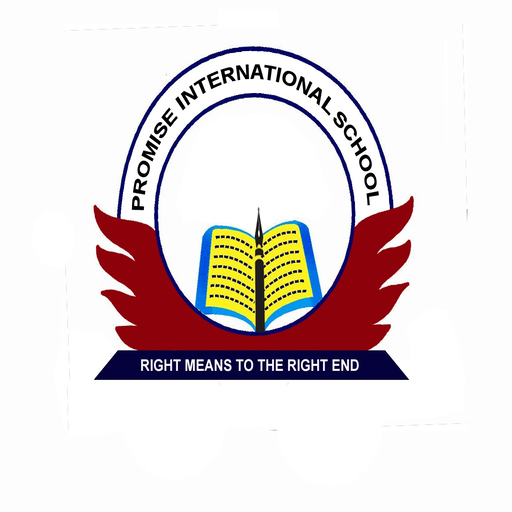PROMISE INTERNATIONAL SCHOOL