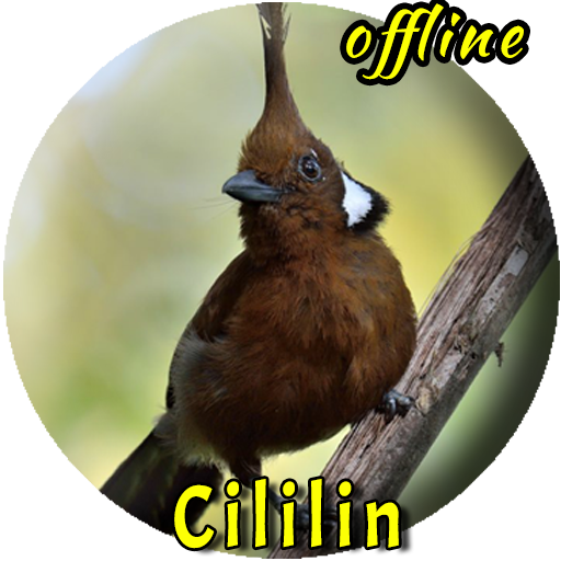 Suara Burung Cililin Master logo
