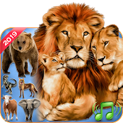 Animal Calls, Sounds & Ringtones