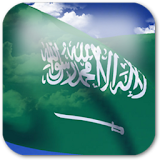 3D Saudi Arabia Flag icon