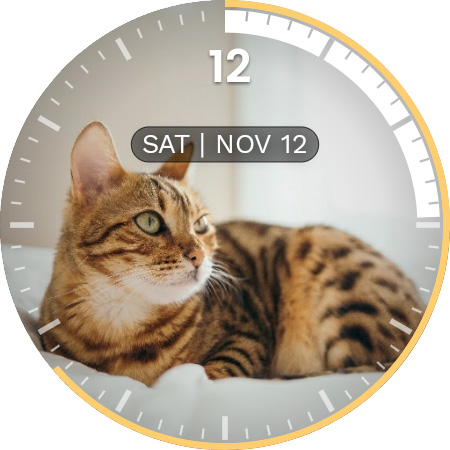 Screenshot of PhotoWear Watch Face