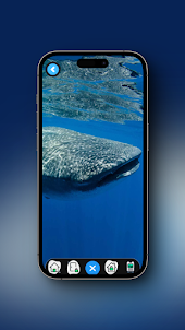 Whale Shark Wallpaper