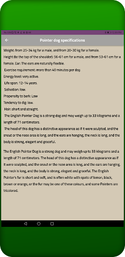 Pointer DogsAll about it