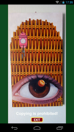 Mysterious paintings Screen 2