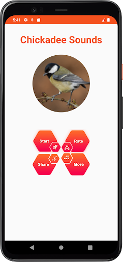 Chickadee Bird Sounds Screen 2