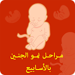 Cover Image of Download مراحل الحمل و حاسبة الحمل  APK