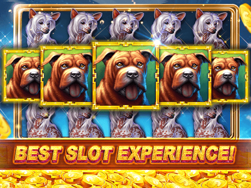 Slots Casino Slot Machine Game 11