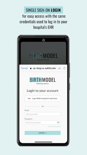 Birth Model Screen 2
