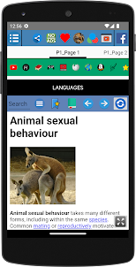 Animal sexual behaviour