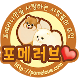 Pomeranian Community Pomelove icon