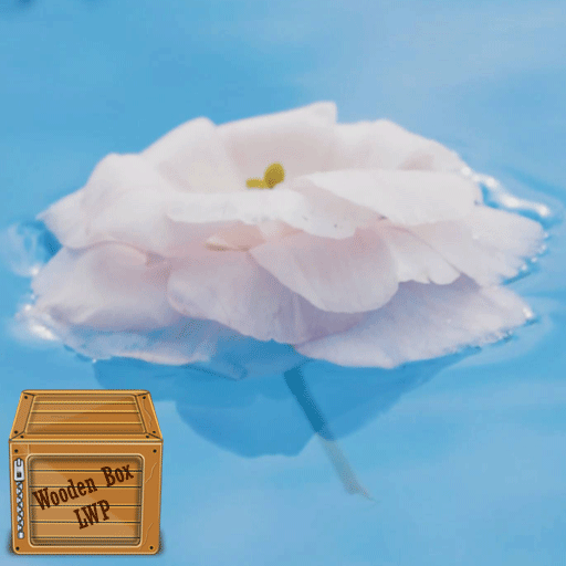 flower water wallpaper logo